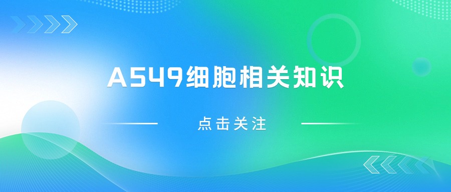 關(guān)于A549細(xì)胞，您不得不知道的一些操作